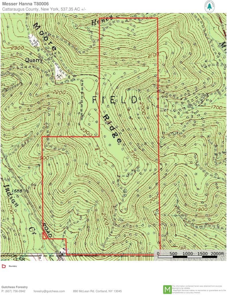 Topo Map-1