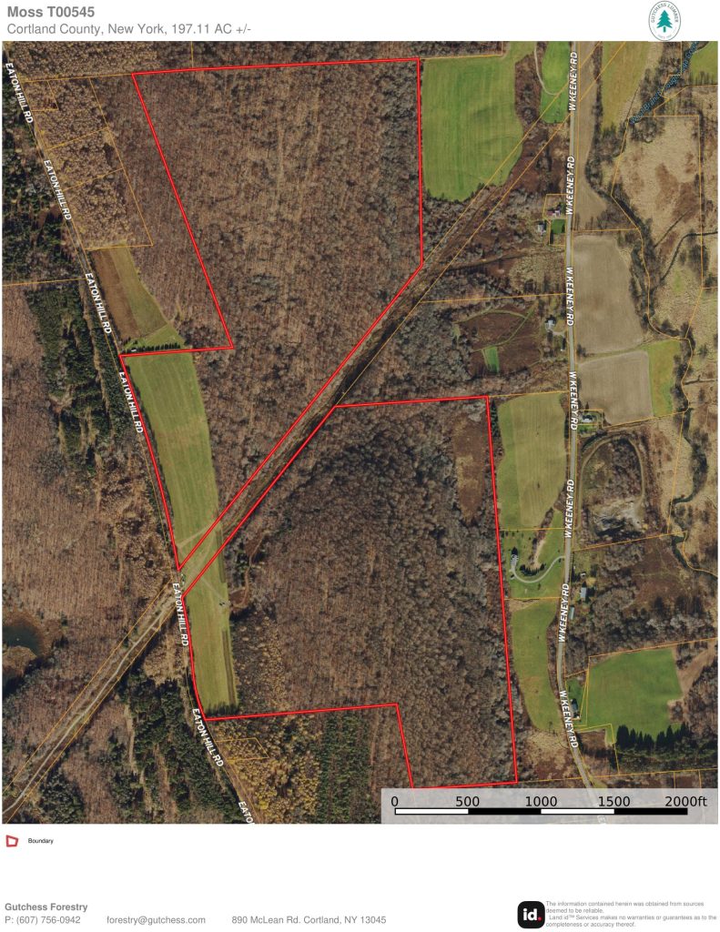 Ortho Map