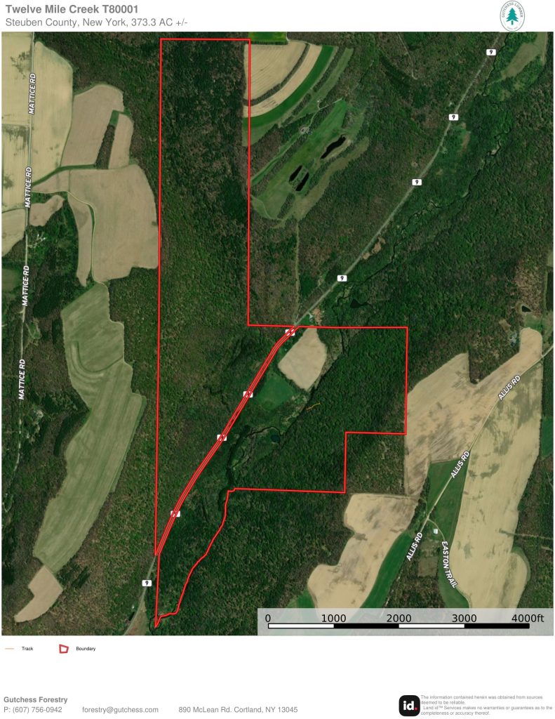 Ortho Map