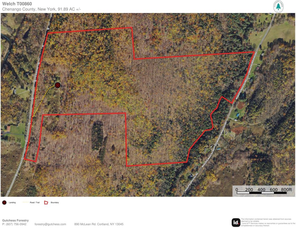 Ortho Map