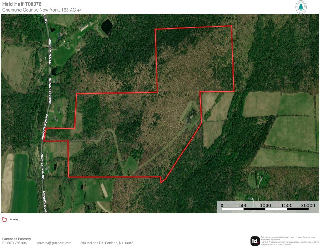 Ortho Map-1
